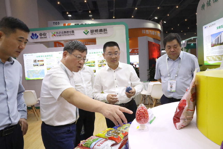 圖片11.png 圖片11.png